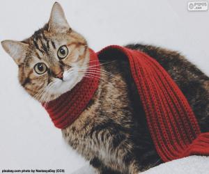 пазл Кошка в шарфе